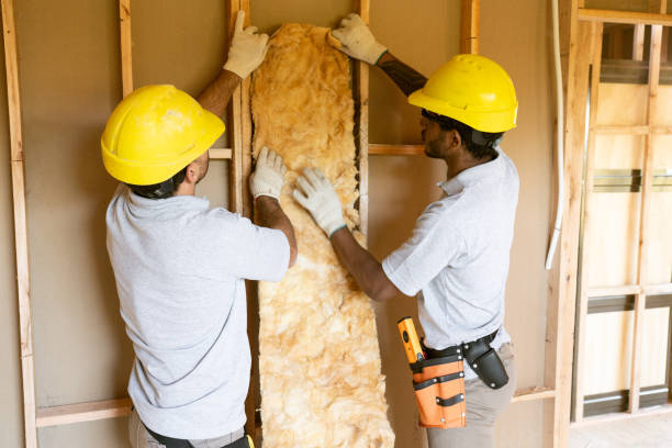 Best Wall Insulation Installation  in USA